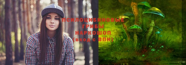 прущая мука Армянск