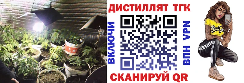 гидра tor  Пустошка  Дистиллят ТГК концентрат  продажа наркотиков 
