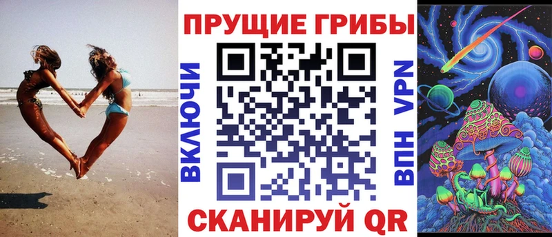 Галлюциногенные грибы Psilocybe  Пустошка 