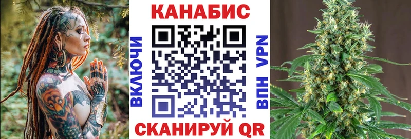 Бошки марихуана Amnesia  даркнет какой сайт  Пустошка 